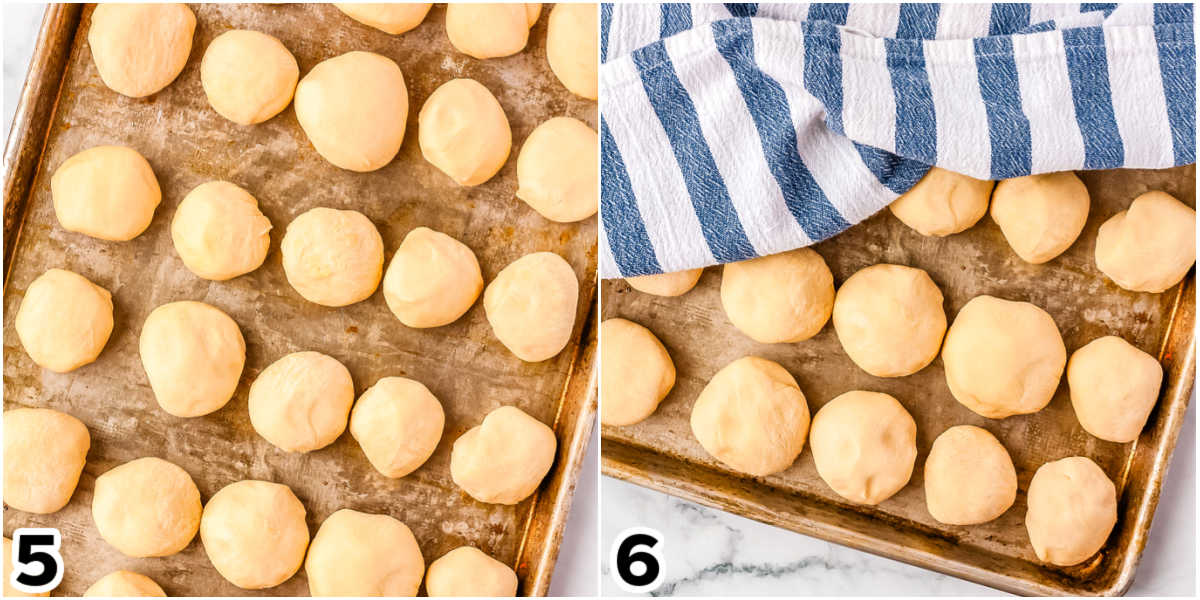 The dough rolled into balls of dough and placed on a greased baking sheet.