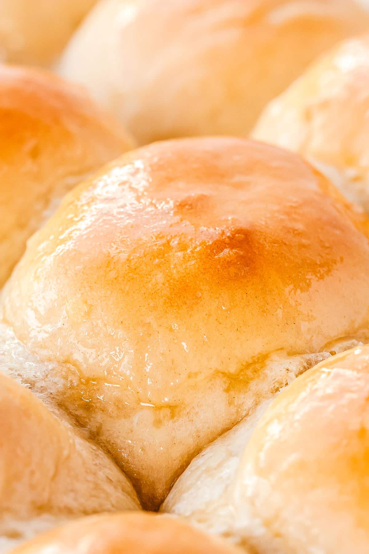 A close up picture of the dinner rolls in a pan and glistening with melted butter.