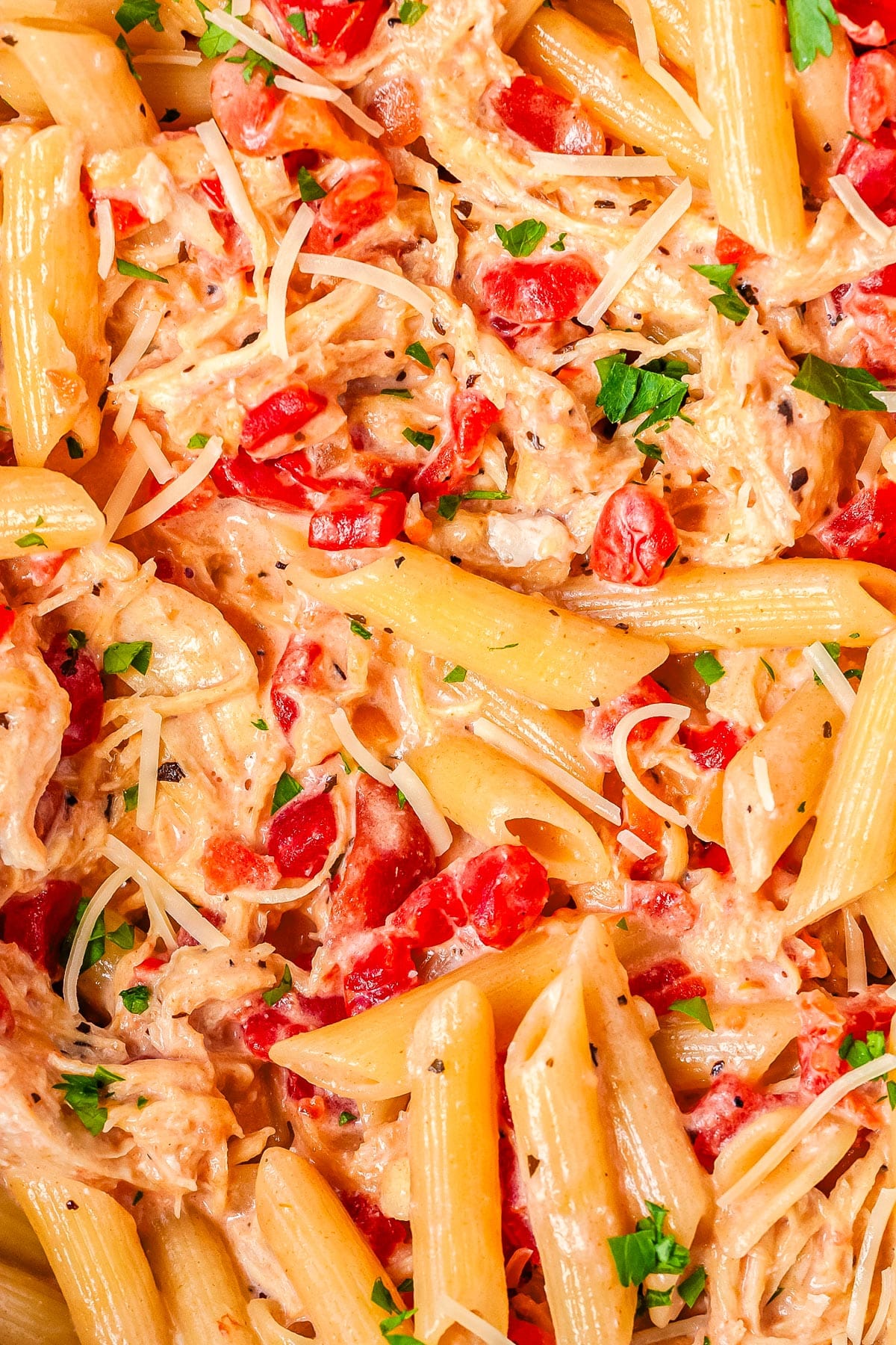 A close-up of the finished Tomato Chicken Alfredo so you can see the creamy sauce, tomatoes, chicken, pasta, and Parmesan cheese.