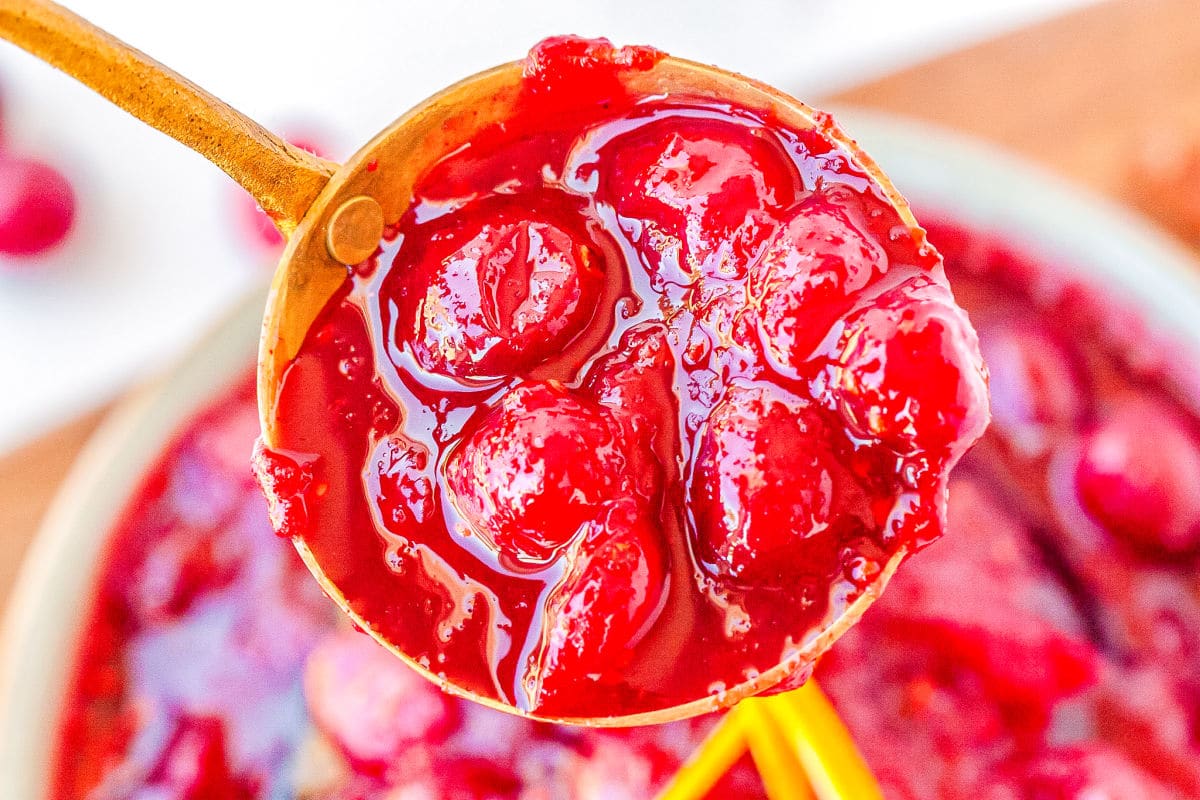 a close up shot of a spoonful of cranberry sauce with a bowl of sauce in the background