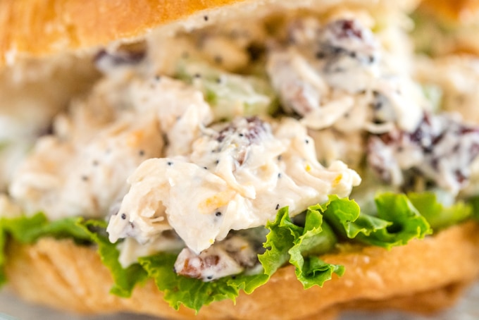 A closeup picture of chicken salad in a croissant.