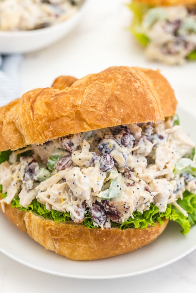 Chicken salad with cranberry and pecans on a croissant with lettuce.