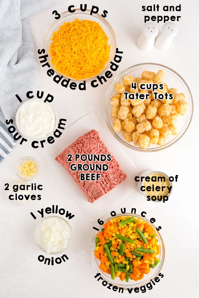 An overhead picture of all of the ingredients needed to make this recipe.