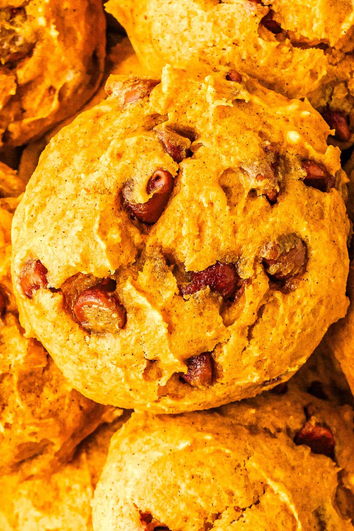 a close up of a pumpkin chocolate chip cookie