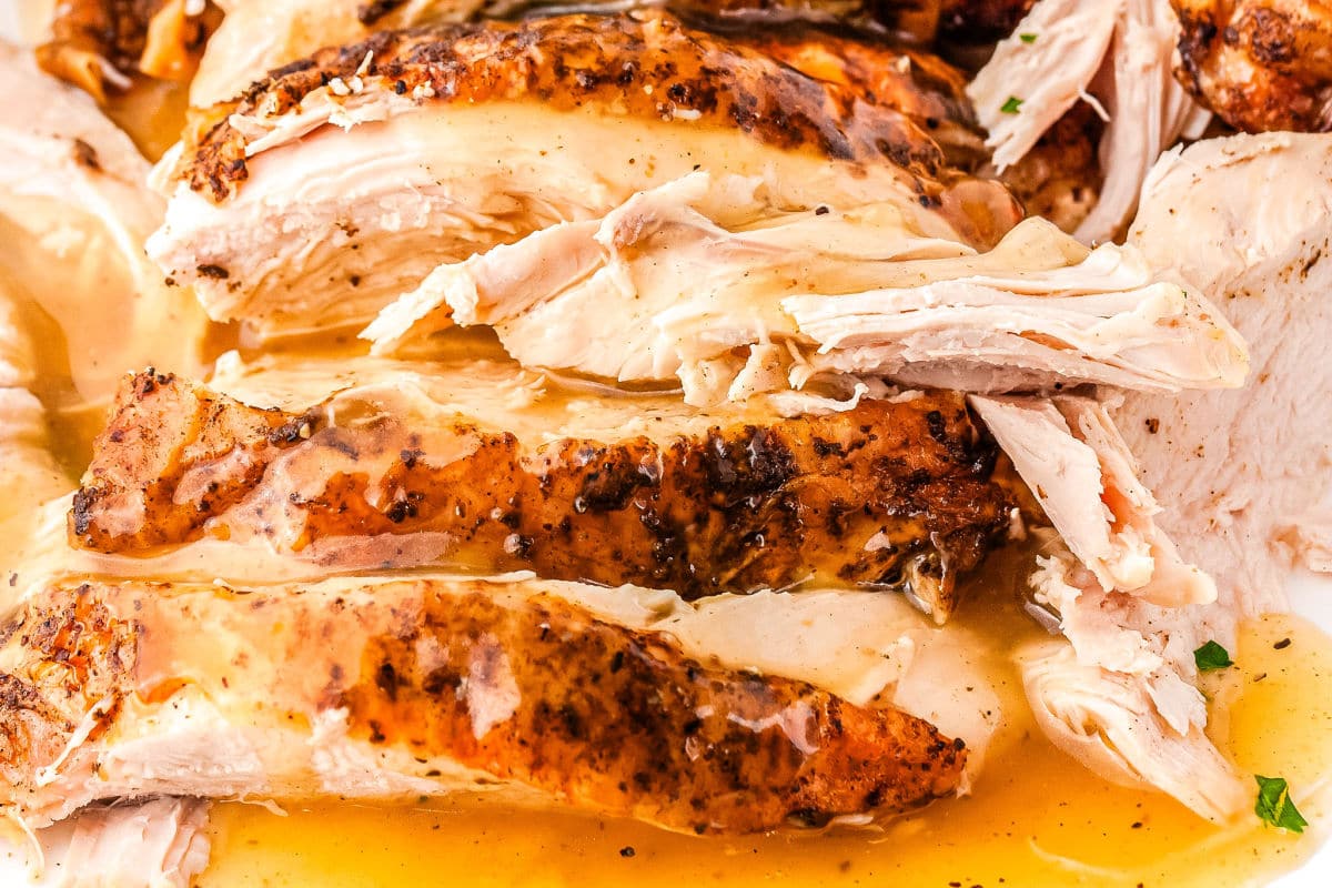 turkey breast on a plate with gravy