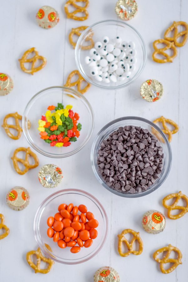 An overhead picture of all of the ingredients needed to make this Turkey Treats recipe.