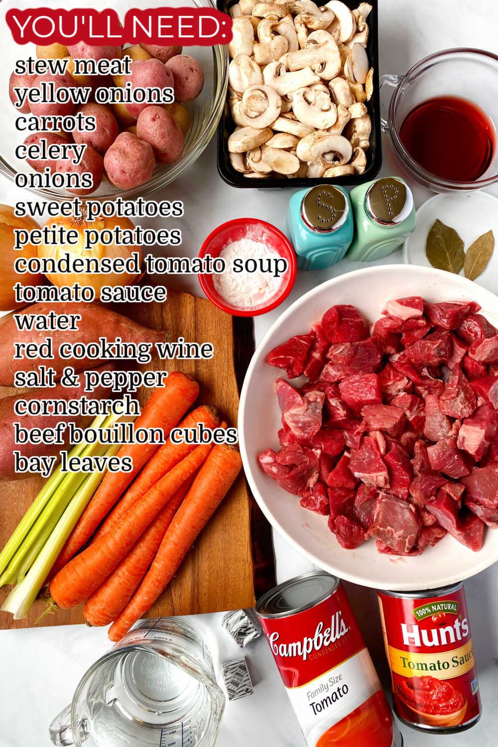 An overhead picture of all of the ingredients needed to make this Gone All Day Stew recipe.