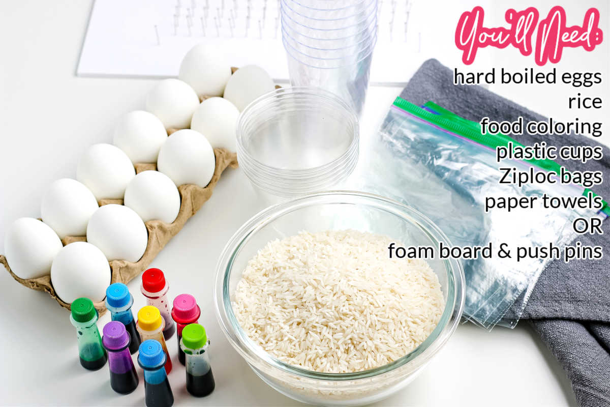 All of the ingredients and equipment needed to make rice-dyed Easter eggs.