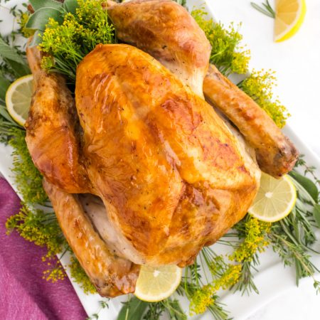 A close up picture of the finished roast turkey on a white serving platter with fresh herbs and lemon slices.