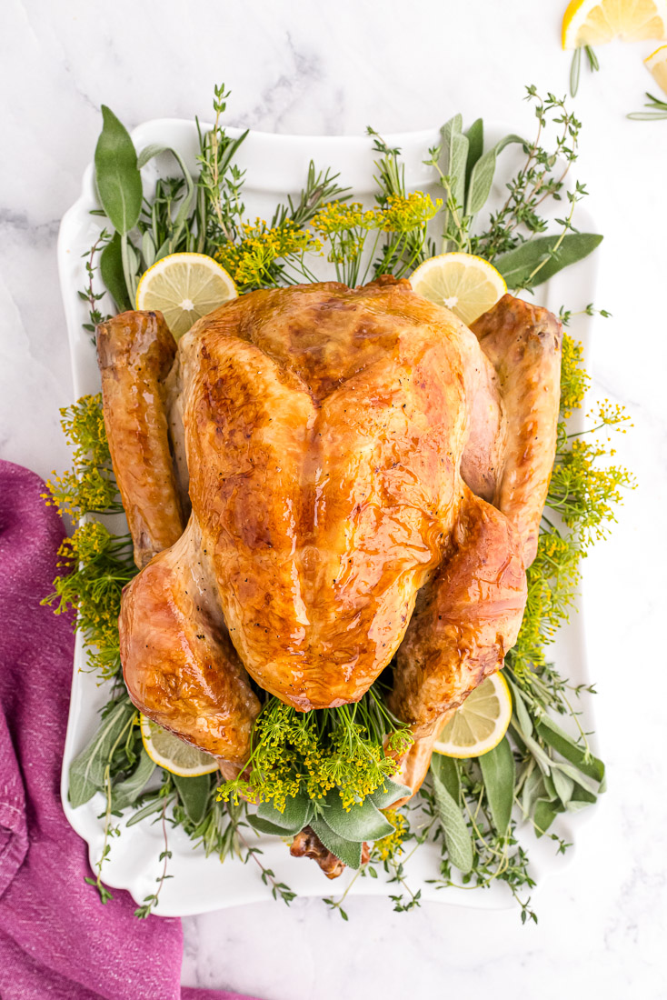 An overhead picture of the finished roast turkey. 