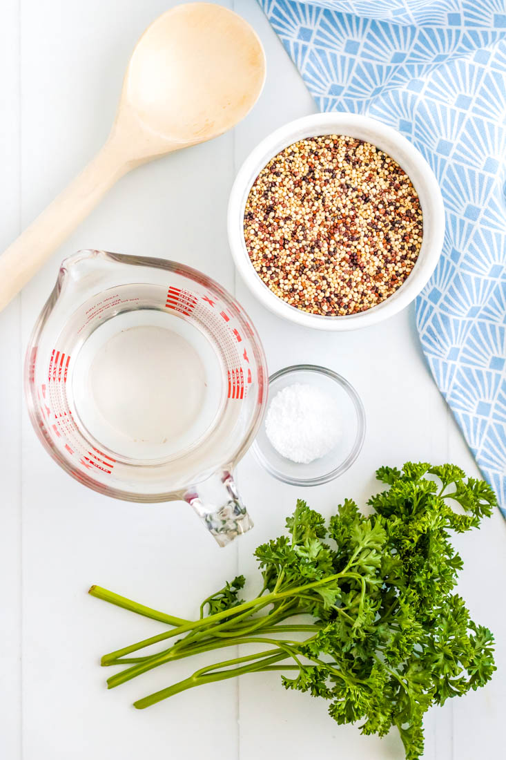An overhead picture of all of the ingredients needed to make this Quinoa recipe.