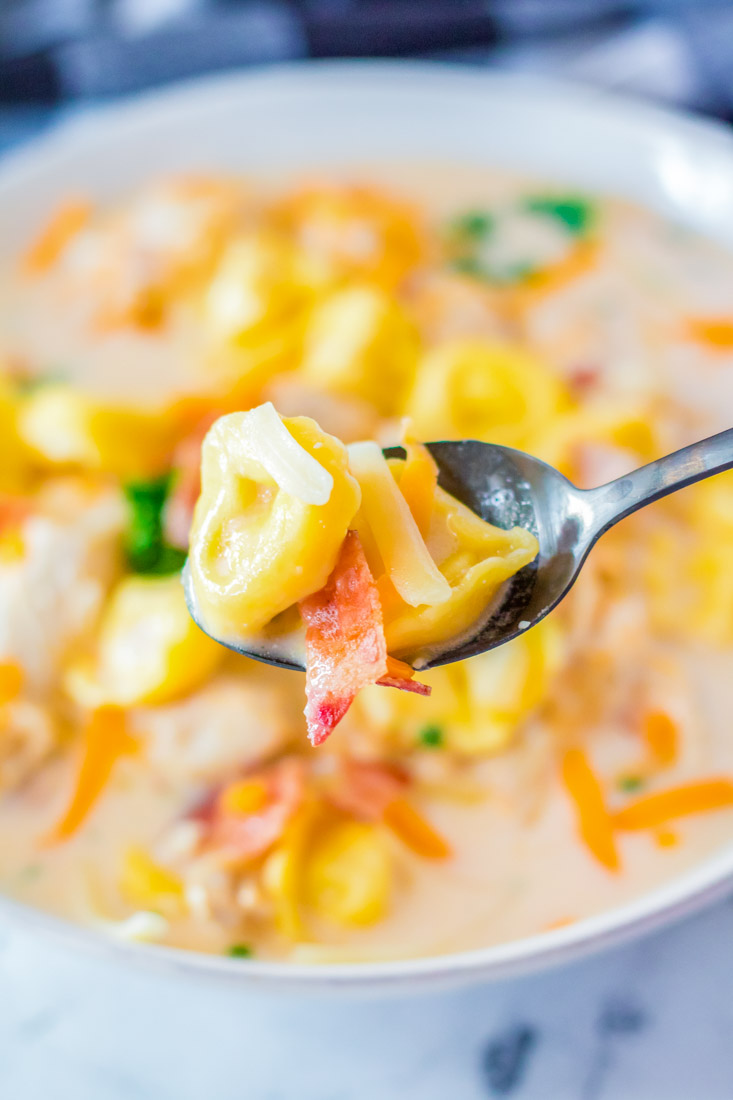 A spoon picking up some of the Slow Cooker Creamy Tortellini Soup.