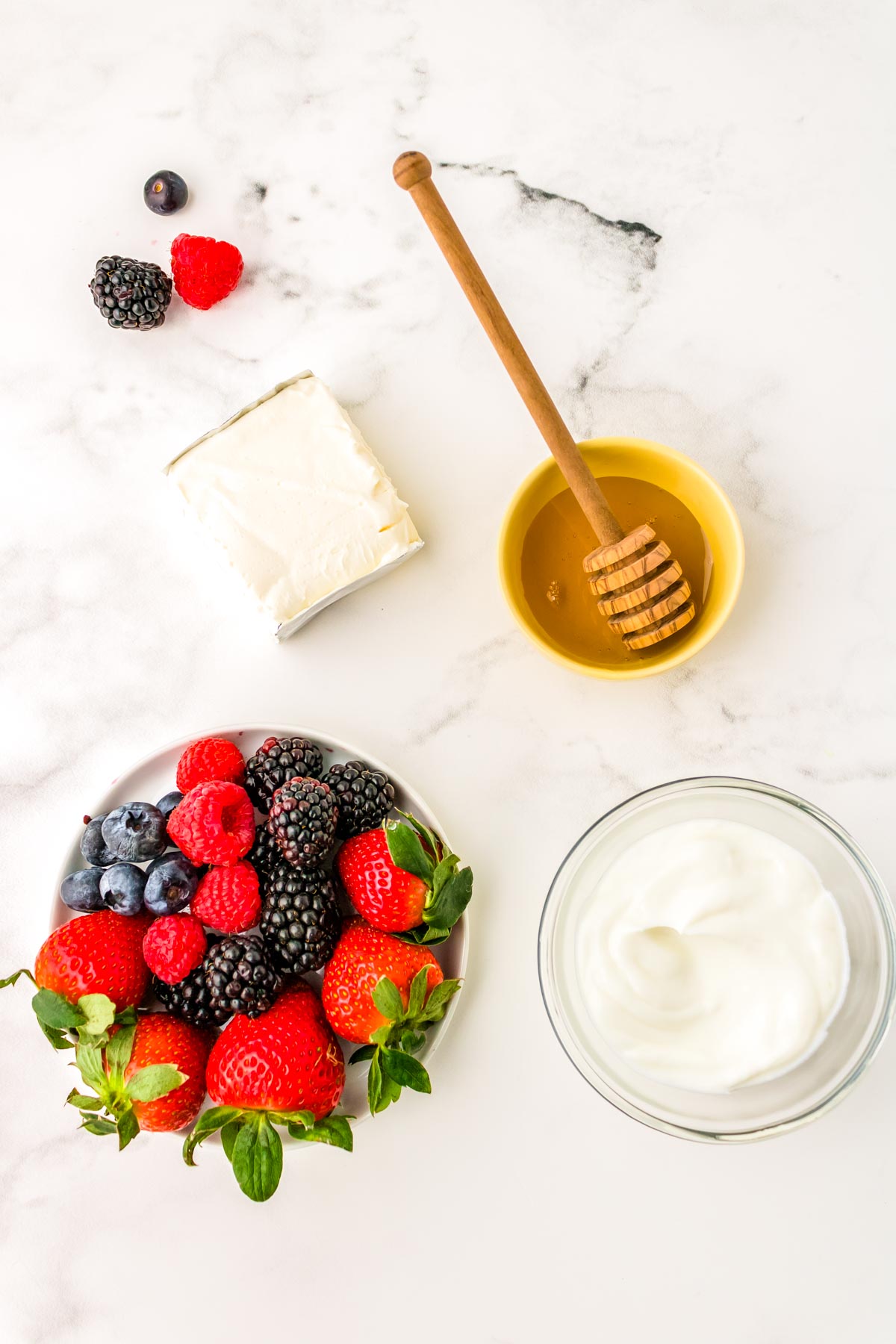 An overhead picture of all of the ingredients needed to make this recipe.