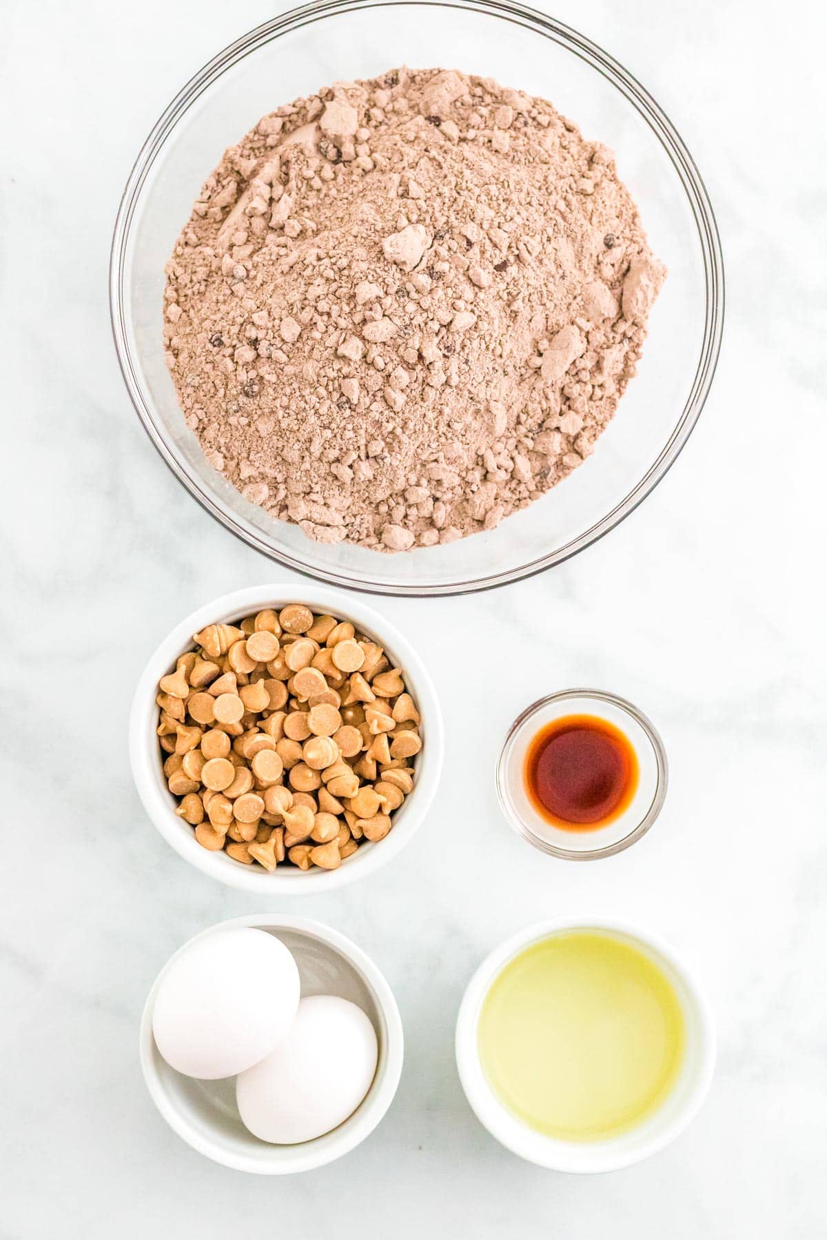 An overhead picture of all of the ingredients needed to make this recipe.