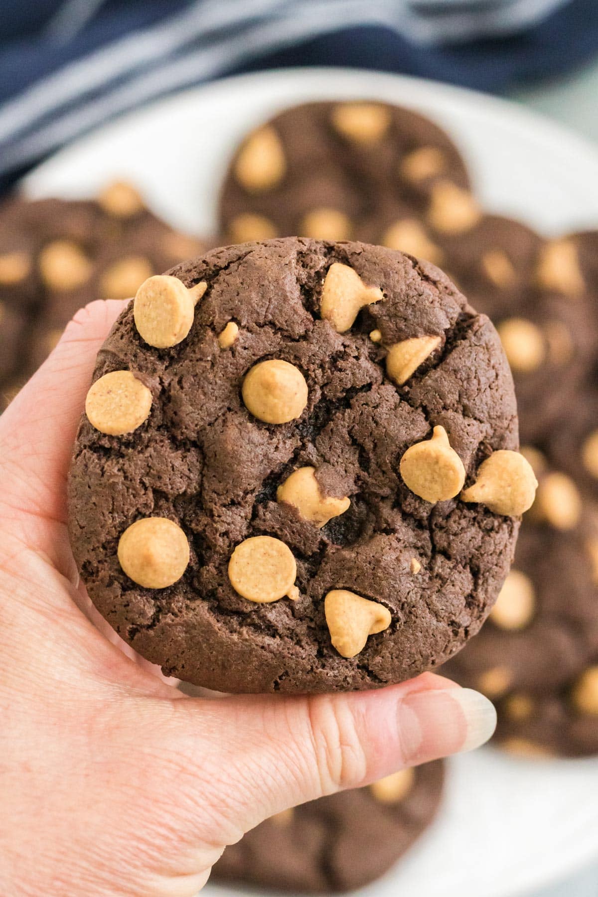 A hand holding one of the finished Chocolate Peanut Butter Chip Cookies.