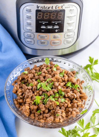 Instant Pot Lentils Story Poster Image