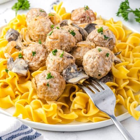 A close up picture of the finished Stroganoff recipe on a white plate.