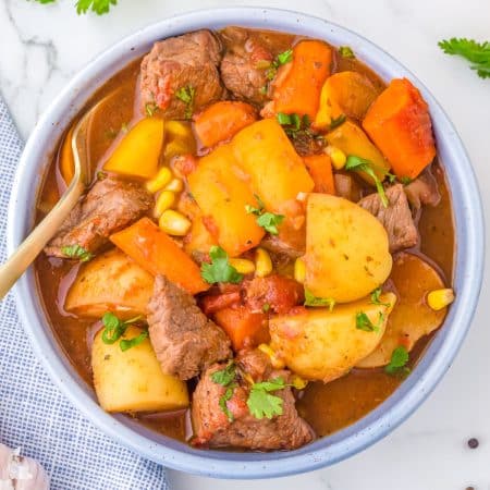 An overhead picture of the finished Mexican Beef Stew recipe in a soup bowl.