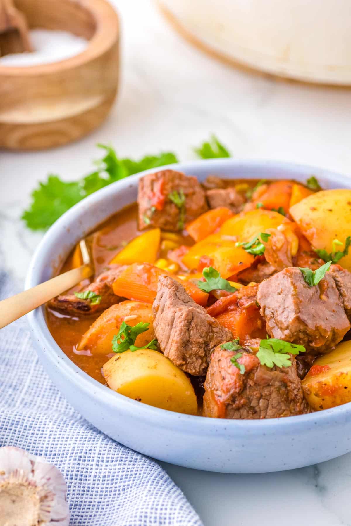 A close up picture of the finished Mexican Beef Stew in a soup bowl. 