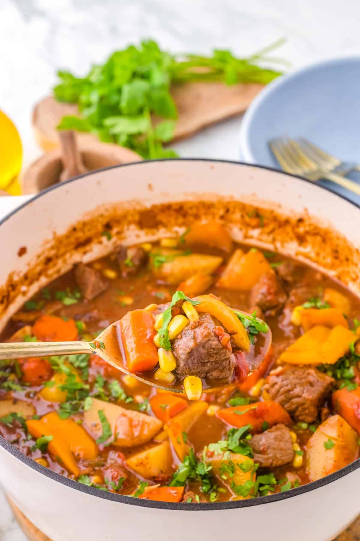 A spoon scooping out the finished Mexican beef stew meat from the stock pot.