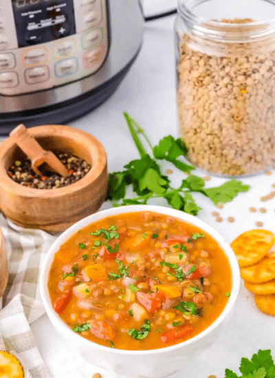 Instant Pot Lentil Soup Story Poster Image