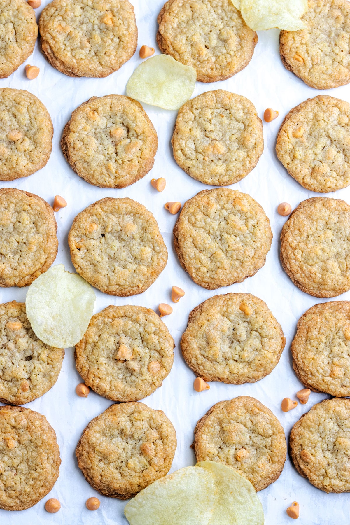 An overhead picture of Potato Chip Cookies in rows.
