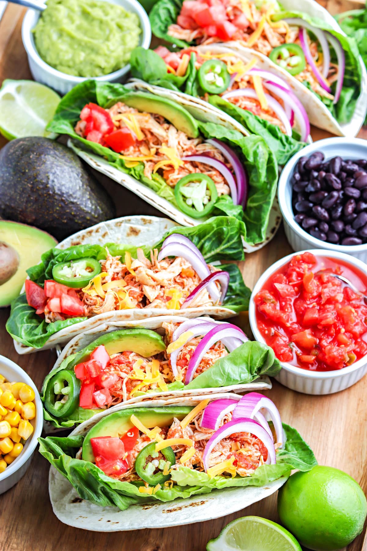 Salsa Chicken in tacos.