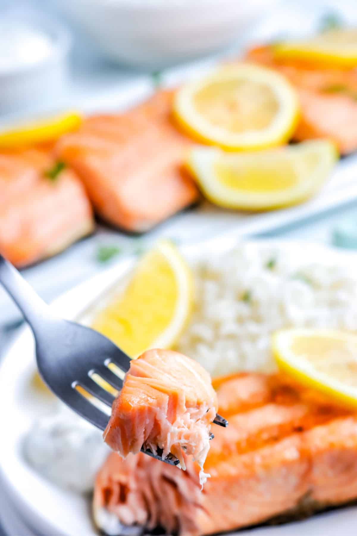 a fork with a bite of salmon with a platter of salmon fillets in the background