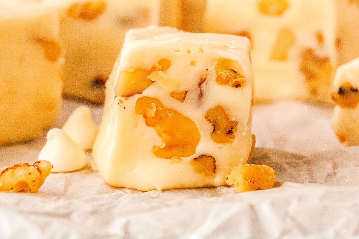 a close up of a piece of vanilla fudge